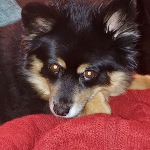 Meet your Posher, Christie